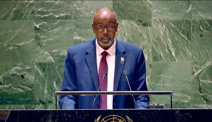 UNSC to Vote on Historic Lifting of Somalia Arms Embargo | Radio Kismaayo