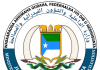 Jubbaland Ministry of Internal Security Condemns Persistent Destabilization Efforts in Gedo Region