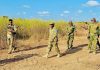 Ciidamada Jubbaland iyo xooga dalka oo 56 Khawaarij ah ku dilay howlgal qorsheysan