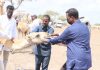 Jubbaland Livestock Minister Launches Vital Veterinary Outreach in Janna Cabdalle
