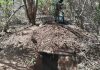 Halyeeyada Ciidanka Dowladda Jubbaland iyo kuwa Xoogga Dalka ayaa howlgallo sifeyn ah ka sameeyay deegaanno hoos taga degmada Jamaame.