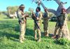 Fifth Straight Day of Anti-Terror Operations Intensifies Pressure in Lower Juba region of Somalia