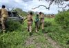 Jubbaland and Danab Forces Capture Al‑Shabaab Operative in Lower Juba Operation