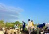Jubbaland Launches Major Livestock Treatment and Vaccination Campaign in Buulo Banaan