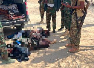Jubaland Forces Kill Two Al-Shabaab Militants in Planned Operation Near Kenya Border
